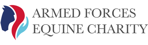 The Armed Forces Equine Charity